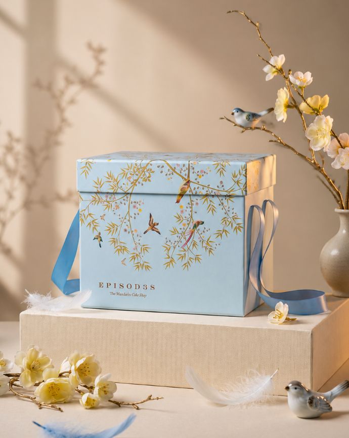 Pale blue gift box with hand-drawn birds and ribbon handles